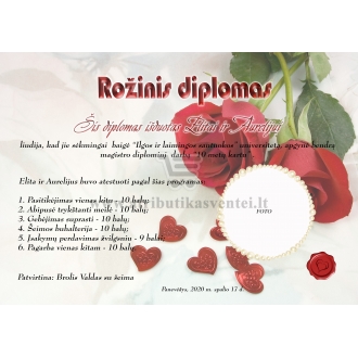 Rožinių vestuvių diplomas (VMROZ-01)