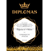 Diplomas nominacija (DIP-13)