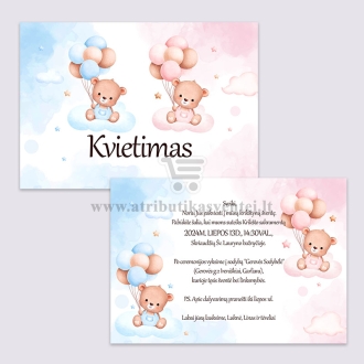 Krikštynų kvietimai dvynukams
