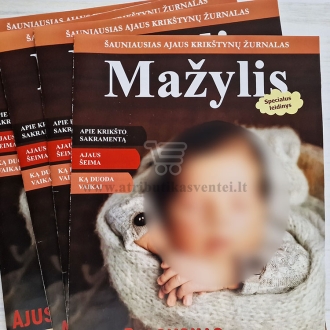 Krikštynų laikraštukas / žurnalas (Pavyzdys nr 3)