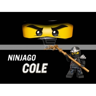 Maža etiketė "Lego Ninjago" Juoda-Cole